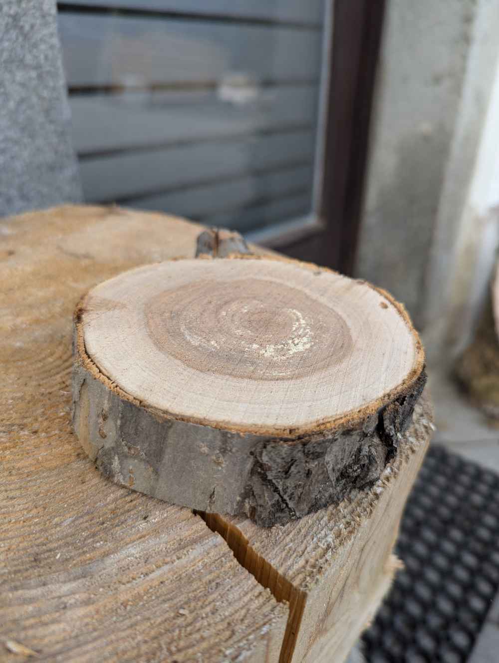 Baumscheiben & Dekoholz