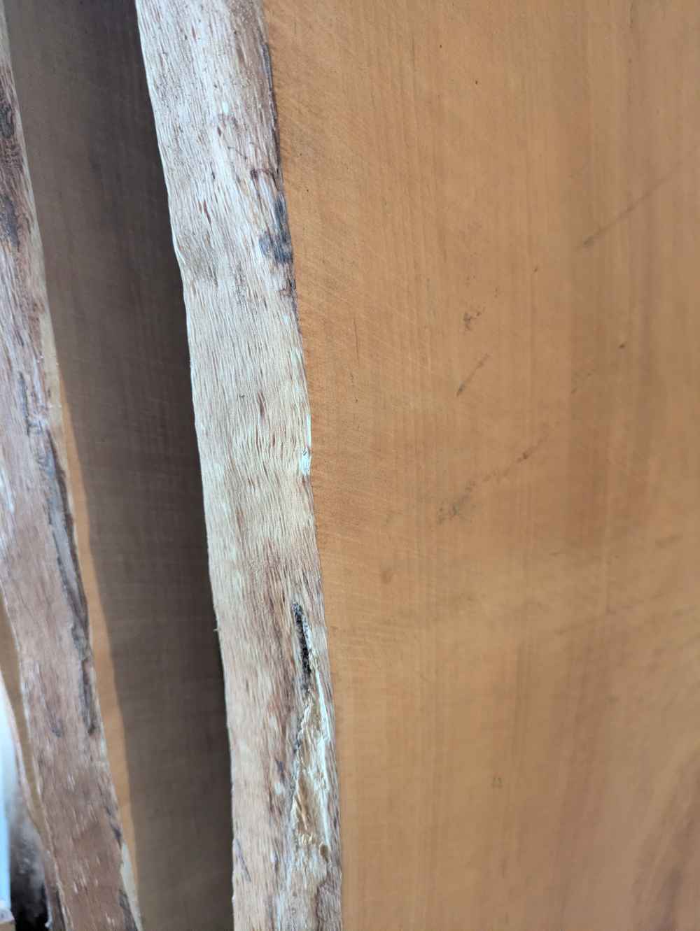 Holzbohle mit Baumkante