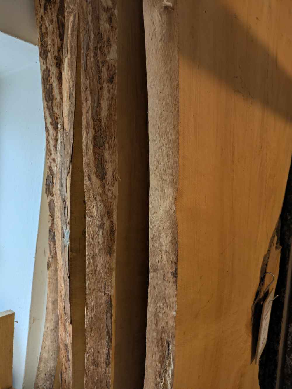 Holzbohle mit Baumkante