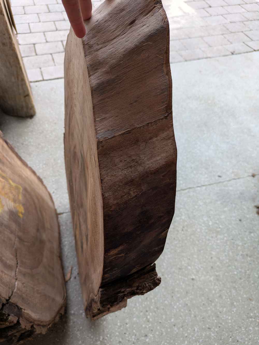 Baumscheibe groß länglich