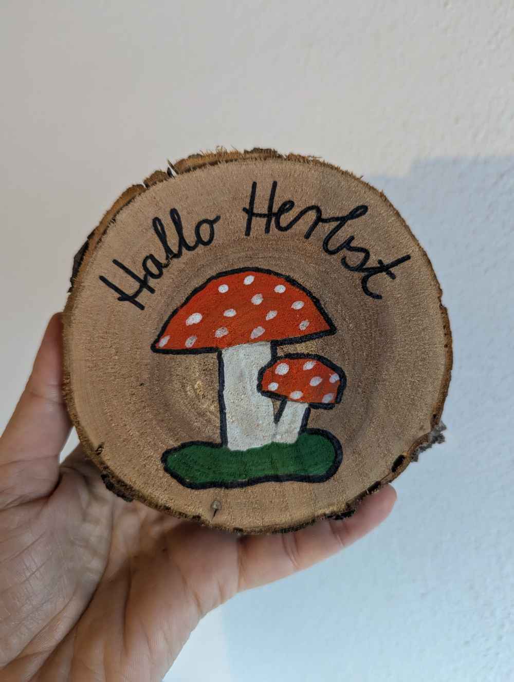 Baumscheiben klein (verschiedene Holzarten)