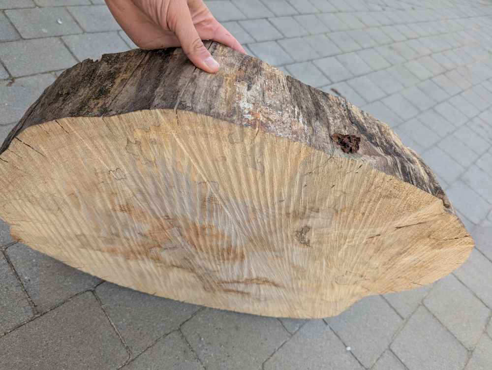 Große Baumscheibe Apfelsine